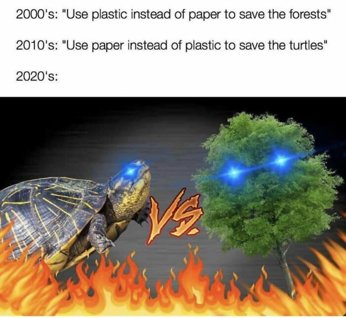 Wait, They Actually Ranked These Hilarious Memes?!
