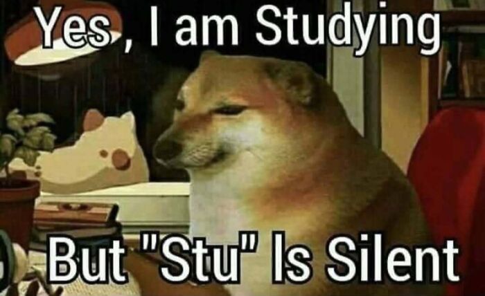 Wait, They Actually Ranked These Hilarious Memes?!