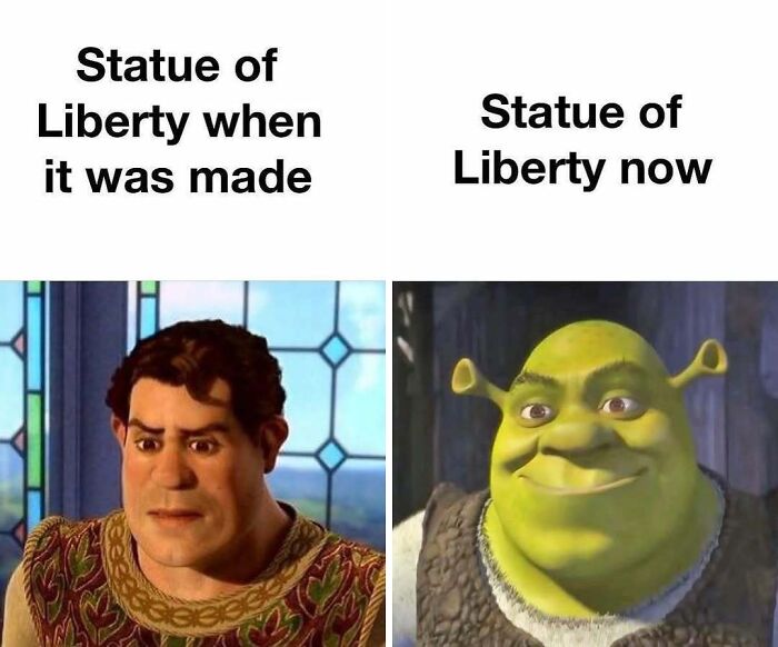 Wait, They Actually Ranked These Hilarious Memes?!