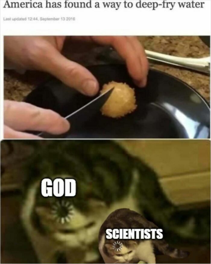 Wait, They Actually Ranked These Hilarious Memes?!