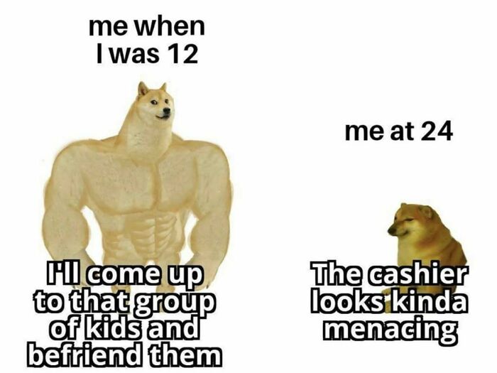 Wait, They Actually Ranked These Hilarious Memes?!