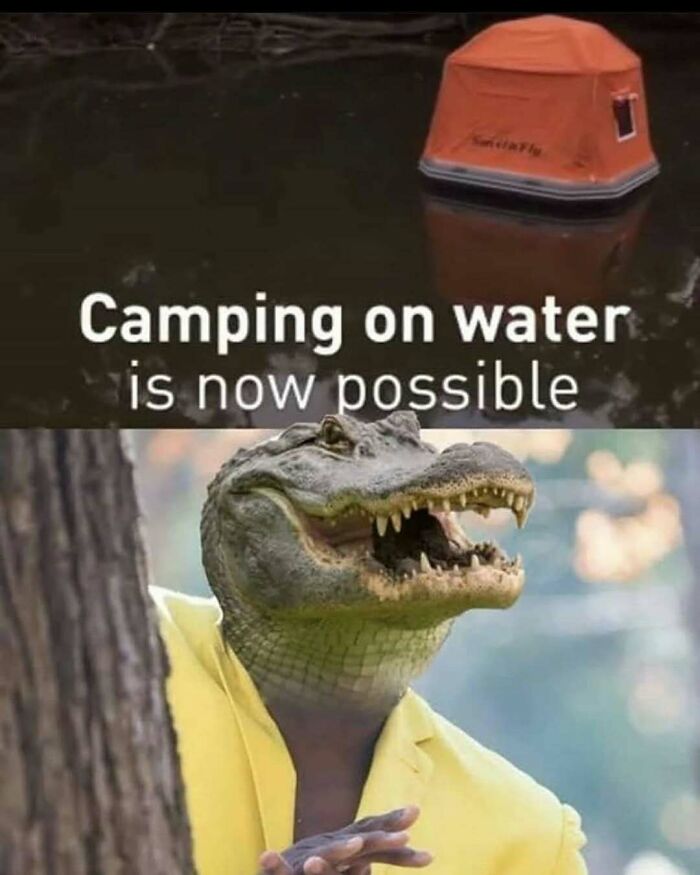 Wait, They Actually Ranked These Hilarious Memes?!