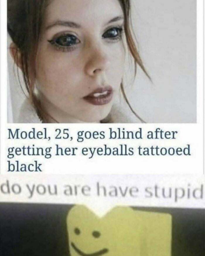 Wait, They Actually Ranked These Hilarious Memes?!