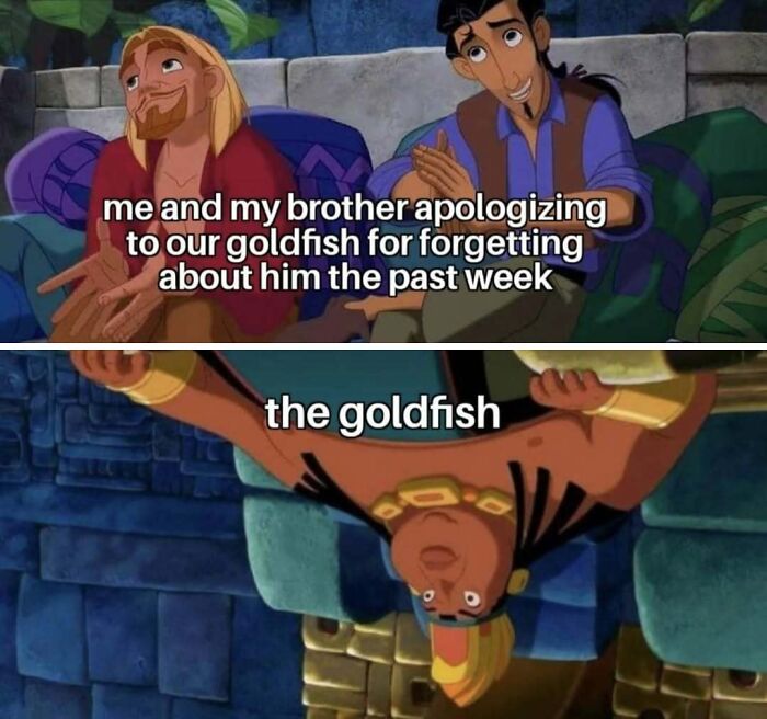Wait, They Actually Ranked These Hilarious Memes?!