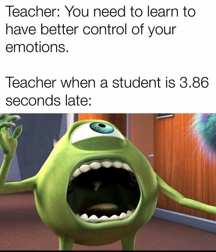 Wait, They Actually Ranked These Hilarious Memes?!