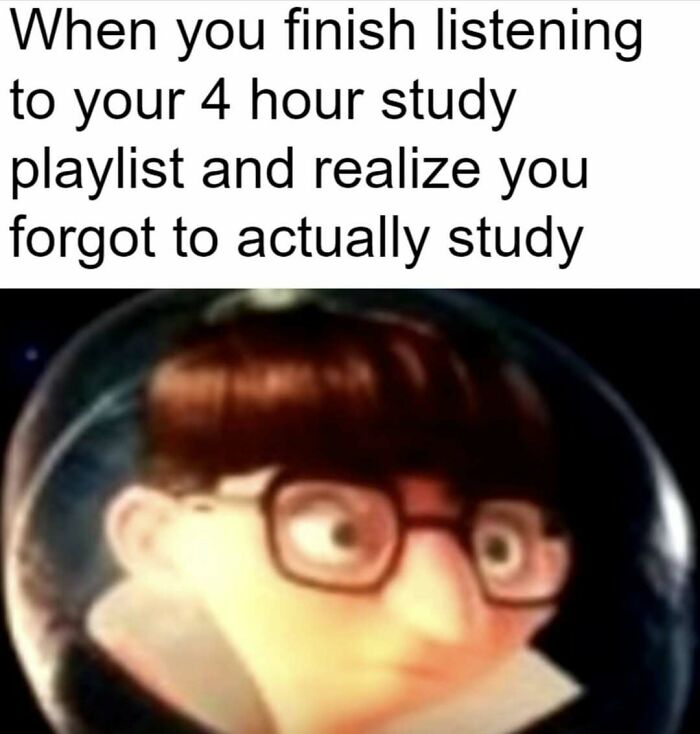 Wait, They Actually Ranked These Hilarious Memes?!