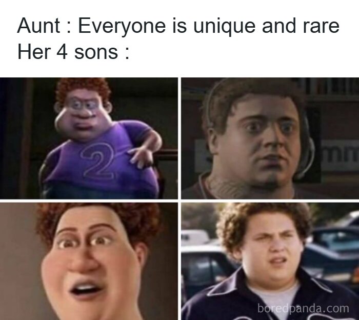 Wait, They Actually Ranked These Hilarious Memes?!
