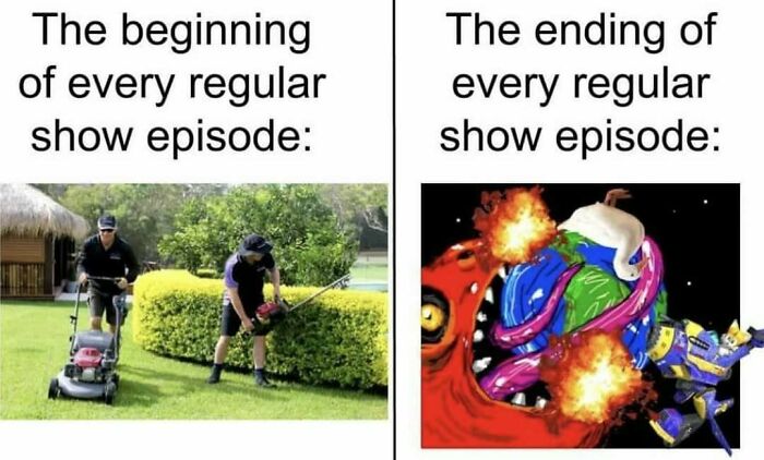 Wait, They Actually Ranked These Hilarious Memes?!