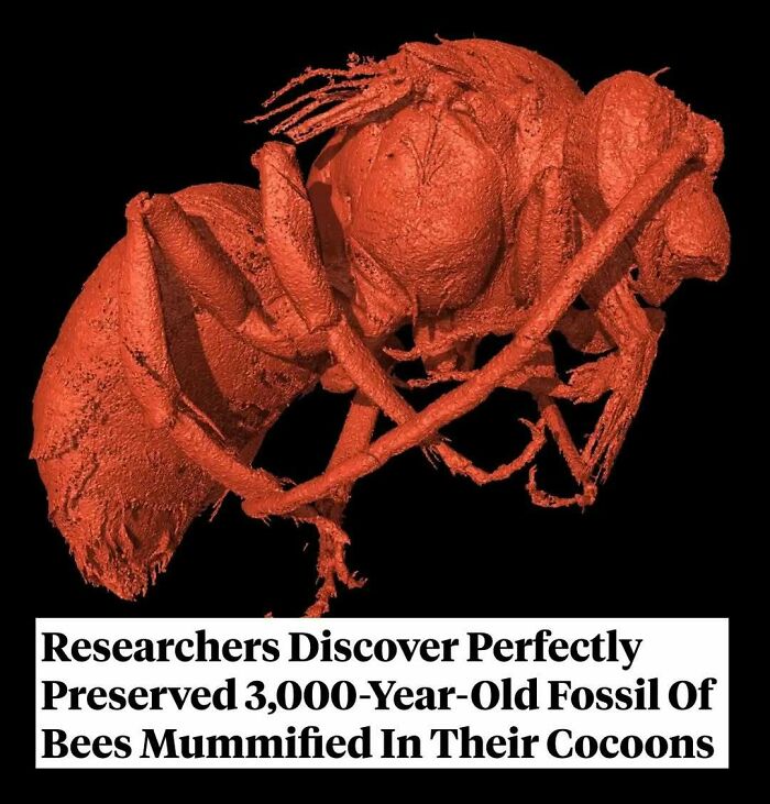77 Wild History Stories That Sound Made Up But Are Totally Real