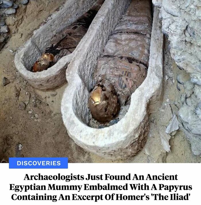 77 Wild History Stories That Sound Made Up But Are Totally Real