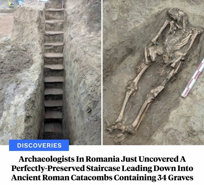 77 Wild History Stories That Sound Made Up But Are Totally Real