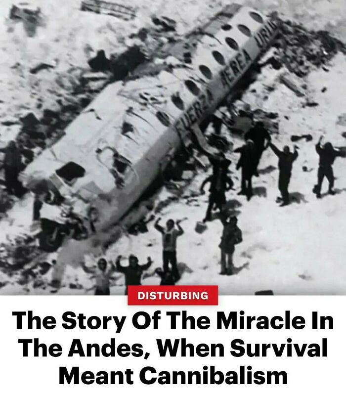 77 Wild History Stories That Sound Made Up But Are Totally Real