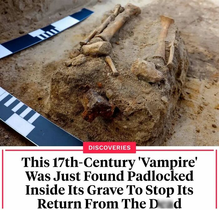 77 Wild History Stories That Sound Made Up But Are Totally Real
