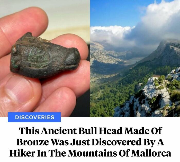 77 Wild History Stories That Sound Made Up But Are Totally Real