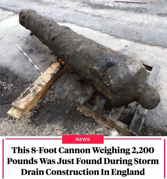 77 Wild History Stories That Sound Made Up But Are Totally Real