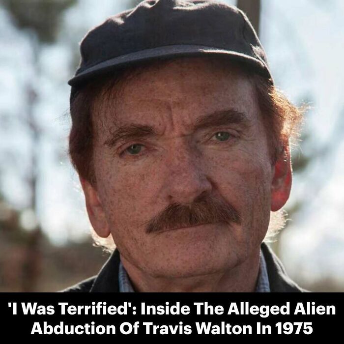 77 Wild History Stories That Sound Made Up But Are Totally Real