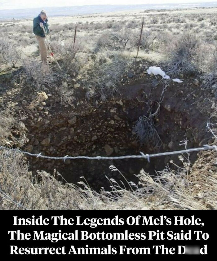77 Wild History Stories That Sound Made Up But Are Totally Real