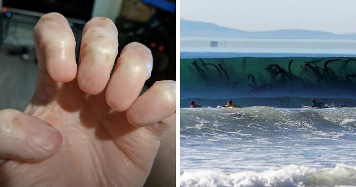 Wait, They Actually Ranked These Oddly Weird and Kinda Creepy Pics?!