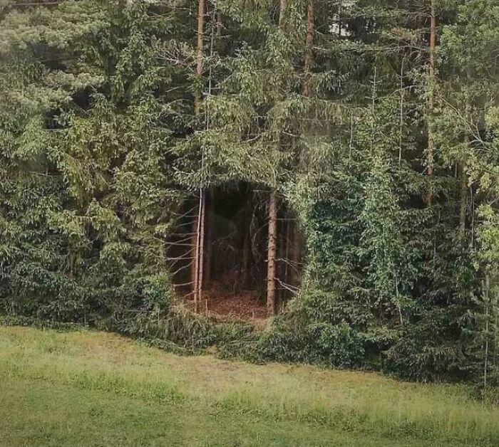 That Mysterious Hole in the Woods Where You’d Expect a Fairy or a Troll