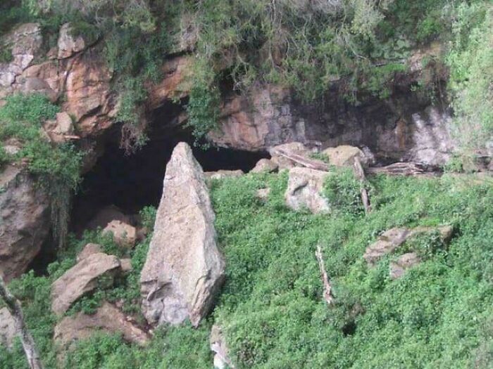 Kitum Cave in Kenya: Where Ebola and Marburg Might Have Started—Spooky Science
