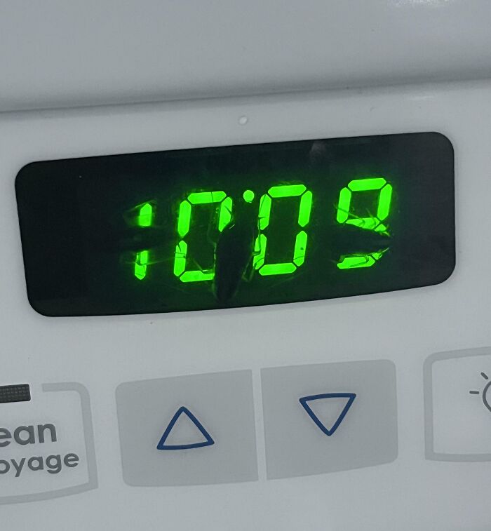 Roaches Living in Our Oven Clock—Unwelcome Timekeepers!