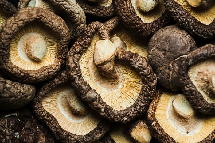 Weird Food Facts That'll Totally Blow Your Mind