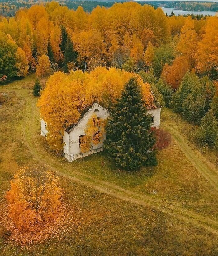 Abandoned House In Russia’s Republic Of Karelia, Looking Like A Scene From A Thriller