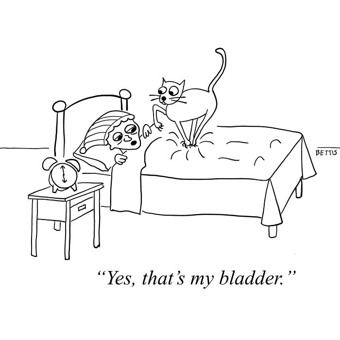 50 Hilariously Clever One-Panel Cartoons That Will Totally Surprise You