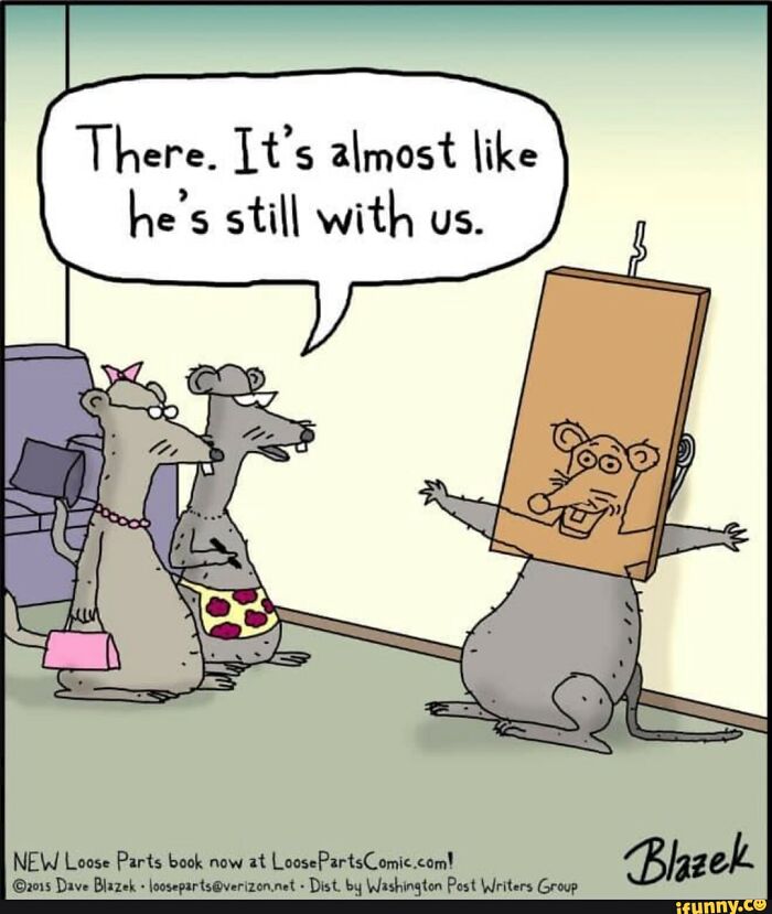 Wait, These Comics Actually Make You Laugh Out Loud!
