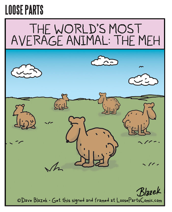 Wait, These Comics Actually Make You Laugh Out Loud!