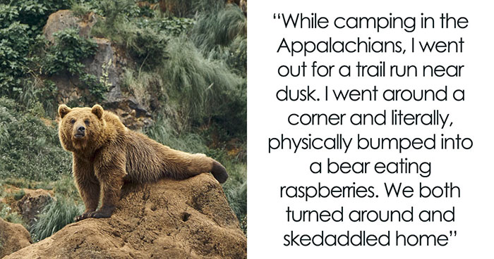 Wait, These Wild True Stories Actually Happened?!