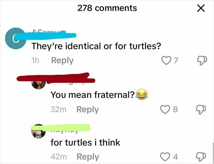 Are They Identical... Or For Turtles?