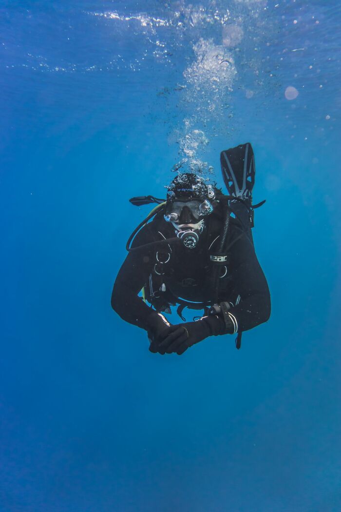 Wait, They Actually Shared These Crazy Diving Stories?!