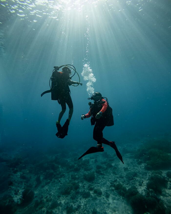 Wait, They Actually Shared These Crazy Diving Stories?!