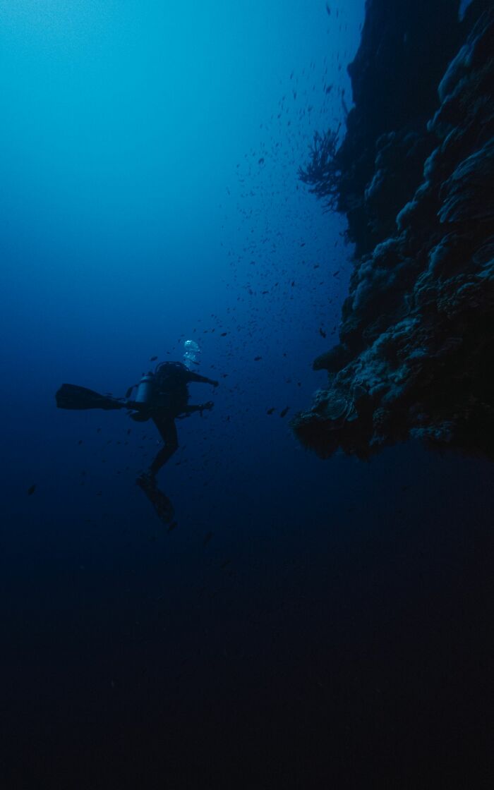 Wait, They Actually Shared These Crazy Diving Stories?!