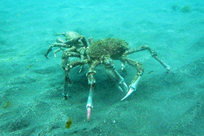 Wait, They Actually Shared These Crazy Diving Stories?!