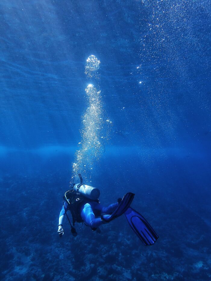 Wait, They Actually Shared These Crazy Diving Stories?!