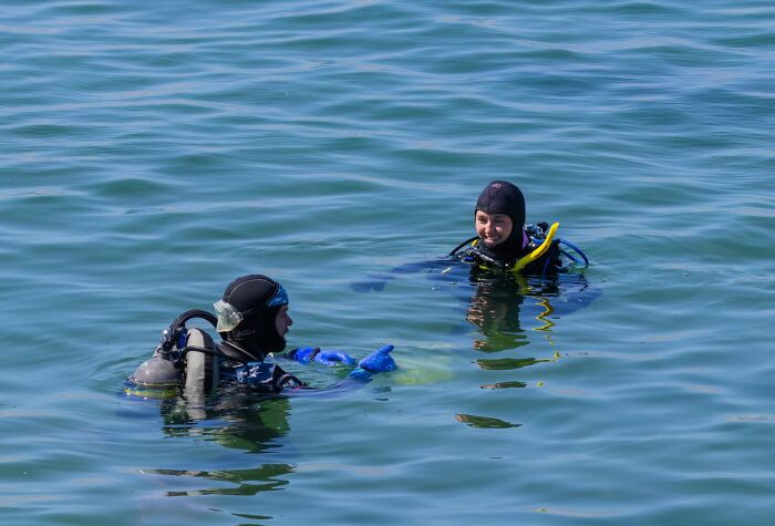 Wait, They Actually Shared These Crazy Diving Stories?!