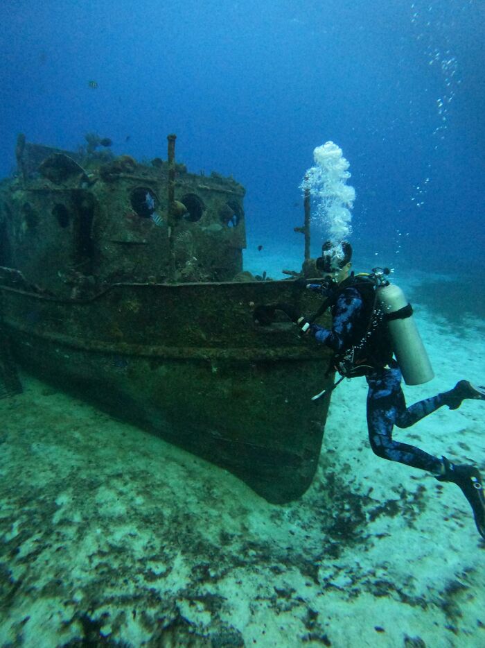 Wait, They Actually Shared These Crazy Diving Stories?!