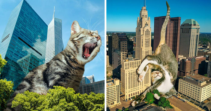 Giant Cats Take Over! Check Out 30 Wildly Big Cat Surreal Pics