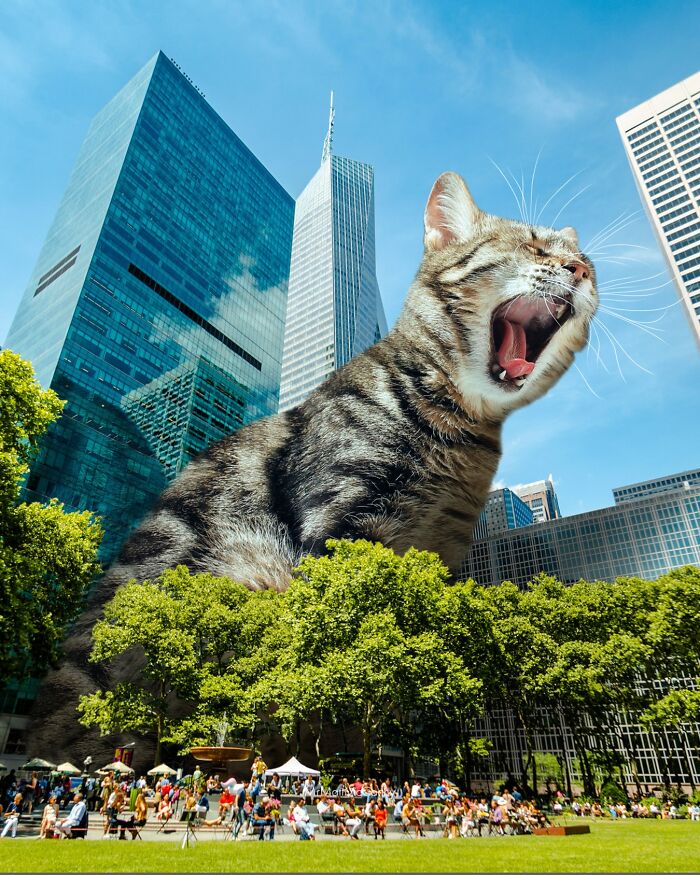 Giant Cats Take Over! Check Out 30 Wildly Big Cat Surreal Pics