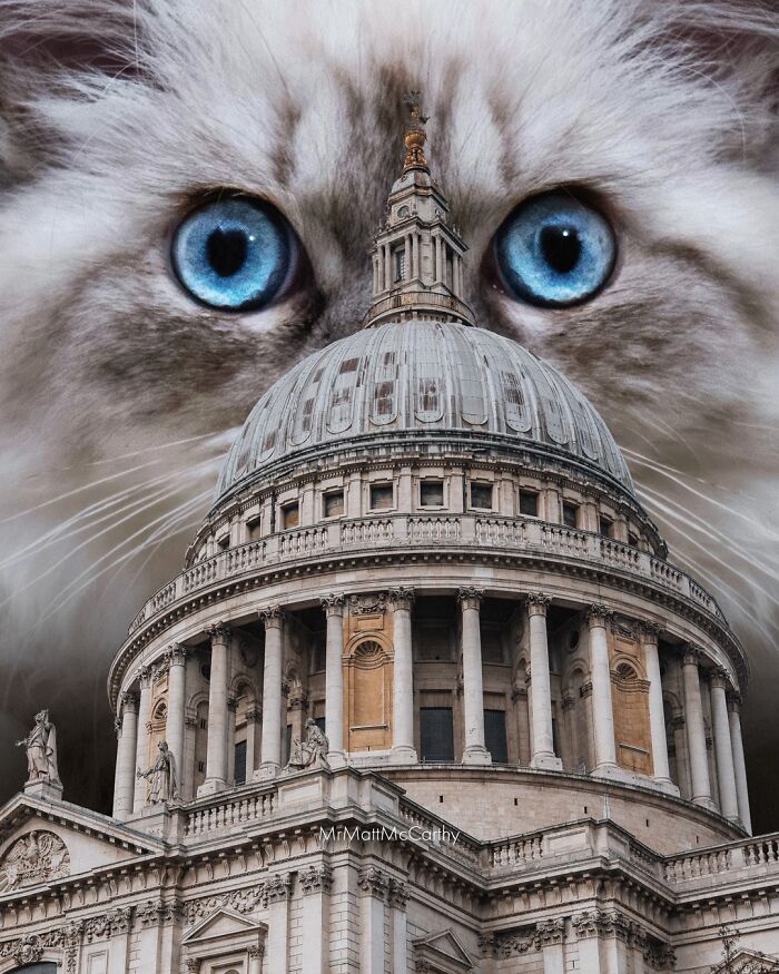 Giant Cats Take Over! Check Out 30 Wildly Big Cat Surreal Pics