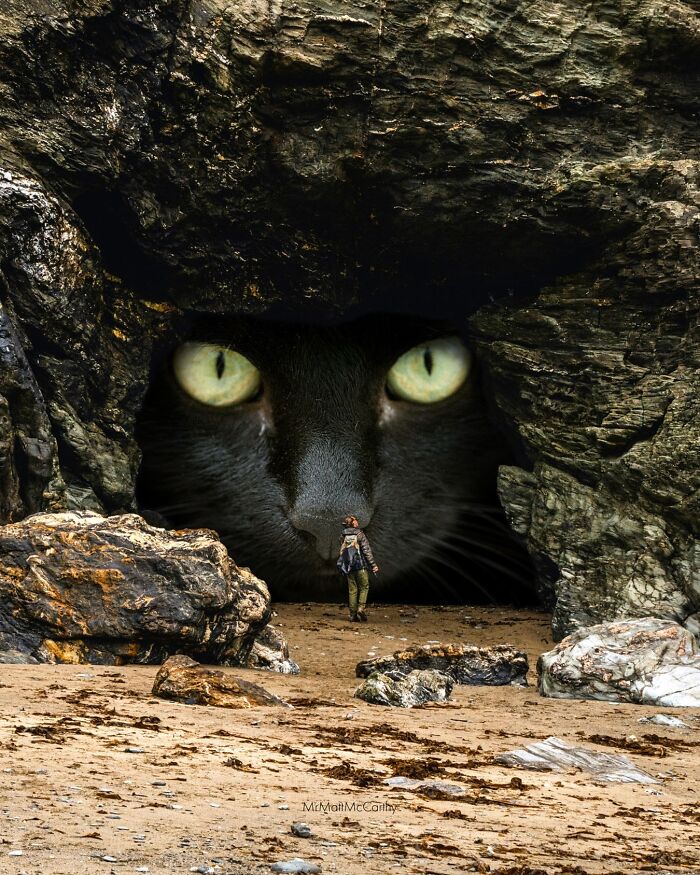 Giant Cats Take Over! Check Out 30 Wildly Big Cat Surreal Pics