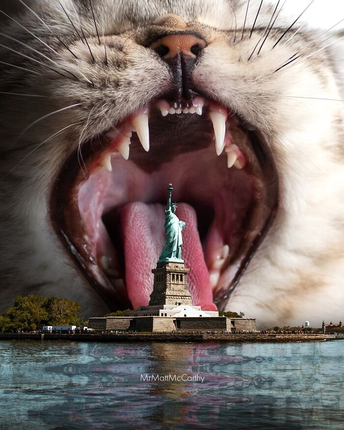 Giant Cats Take Over! Check Out 30 Wildly Big Cat Surreal Pics
