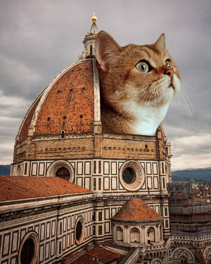 Giant Cats Take Over! Check Out 30 Wildly Big Cat Surreal Pics