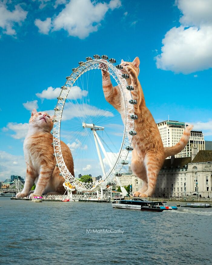 Giant Cats Take Over! Check Out 30 Wildly Big Cat Surreal Pics