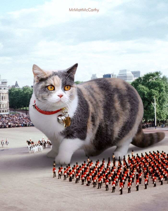 Giant Cats Take Over! Check Out 30 Wildly Big Cat Surreal Pics