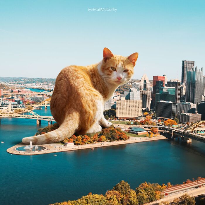 Giant Cats Take Over! Check Out 30 Wildly Big Cat Surreal Pics