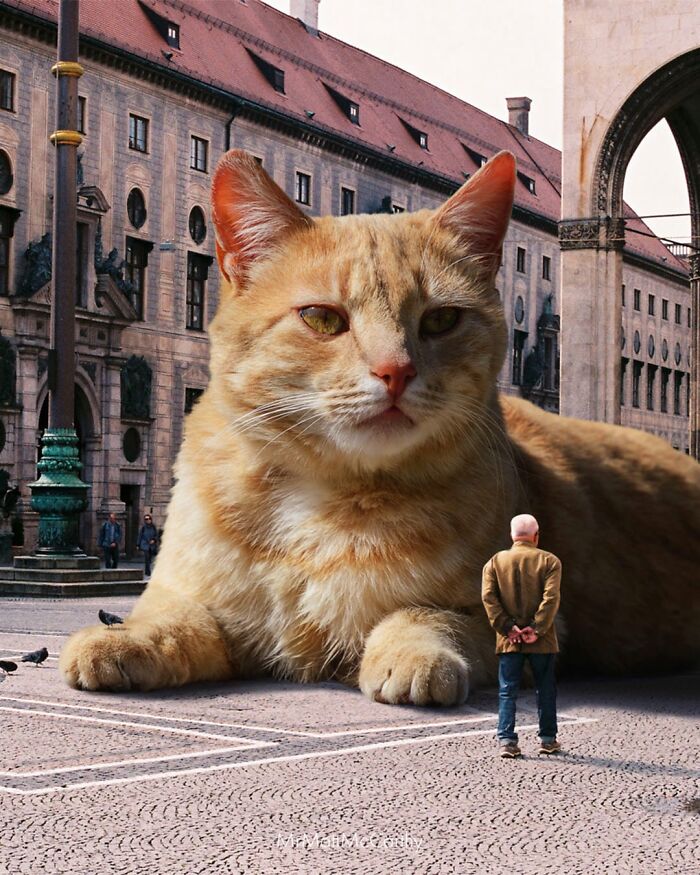 Giant Cats Take Over! Check Out 30 Wildly Big Cat Surreal Pics