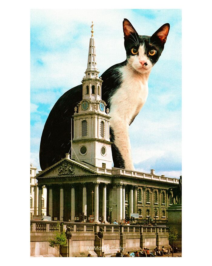 Giant Cats Take Over! Check Out 30 Wildly Big Cat Surreal Pics